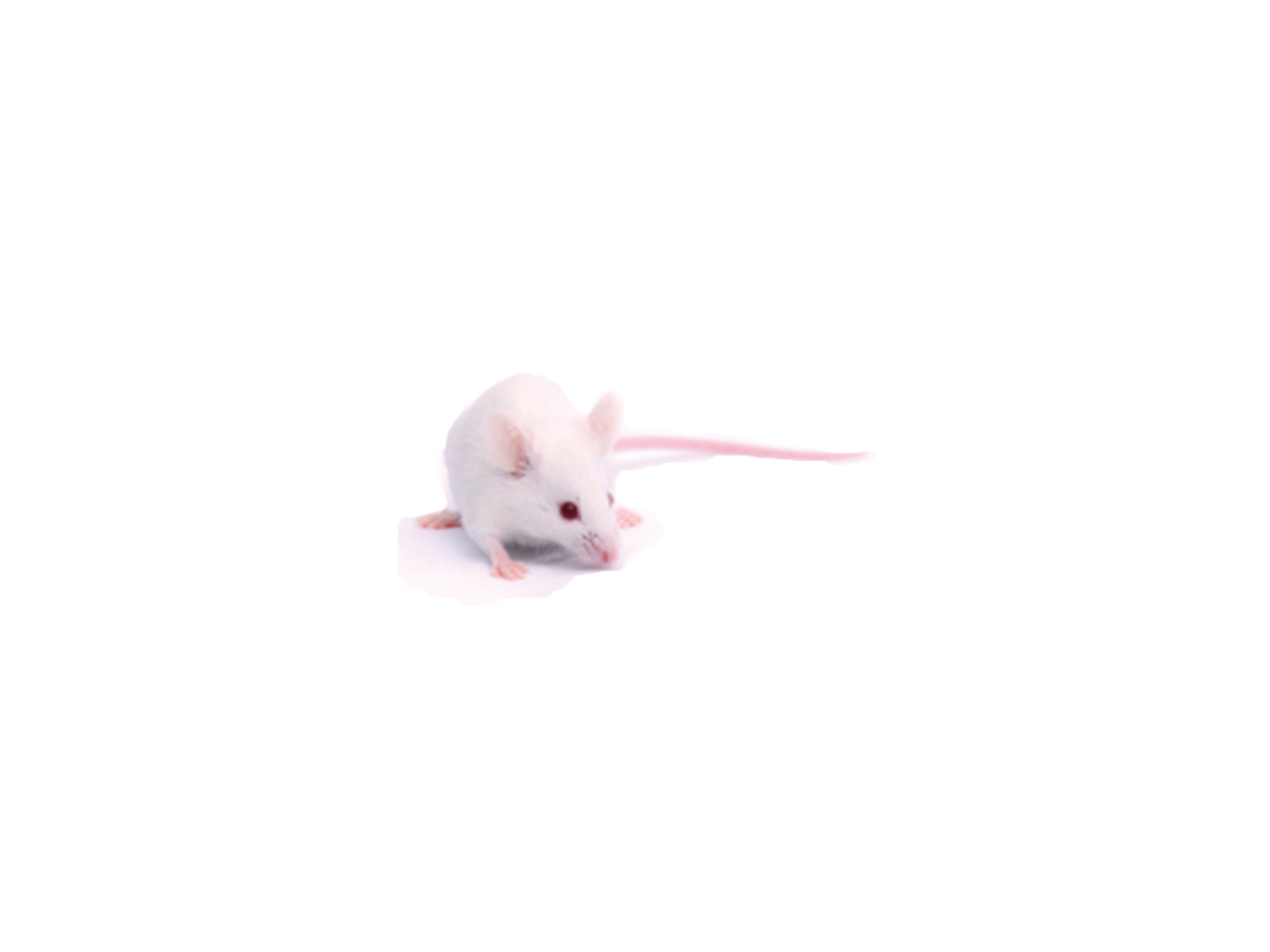 常見問題